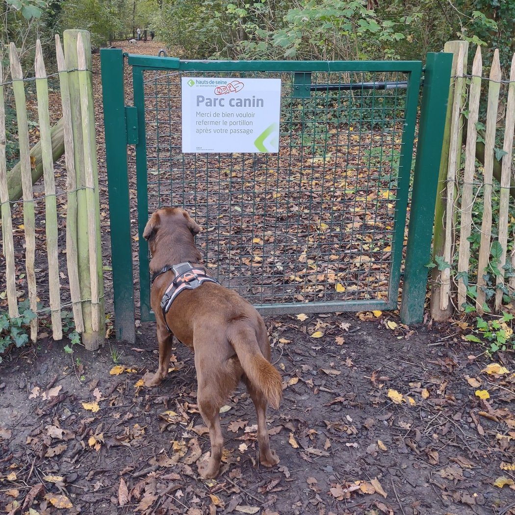 Parc Canin de Sceaux 1